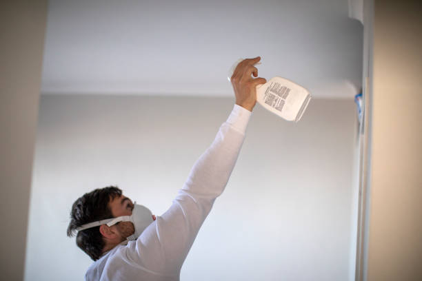 Best Post-Flood Mold Remediation in Duson, LA